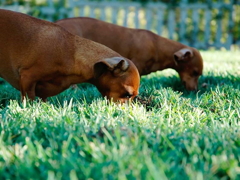 sudoku education game screenshot 4